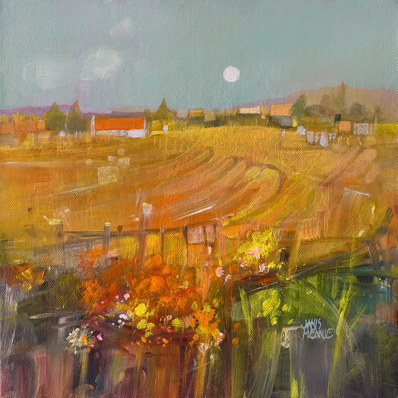 Colourful Black Isle